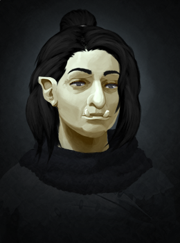 Portrait of Helsora Hawkwing