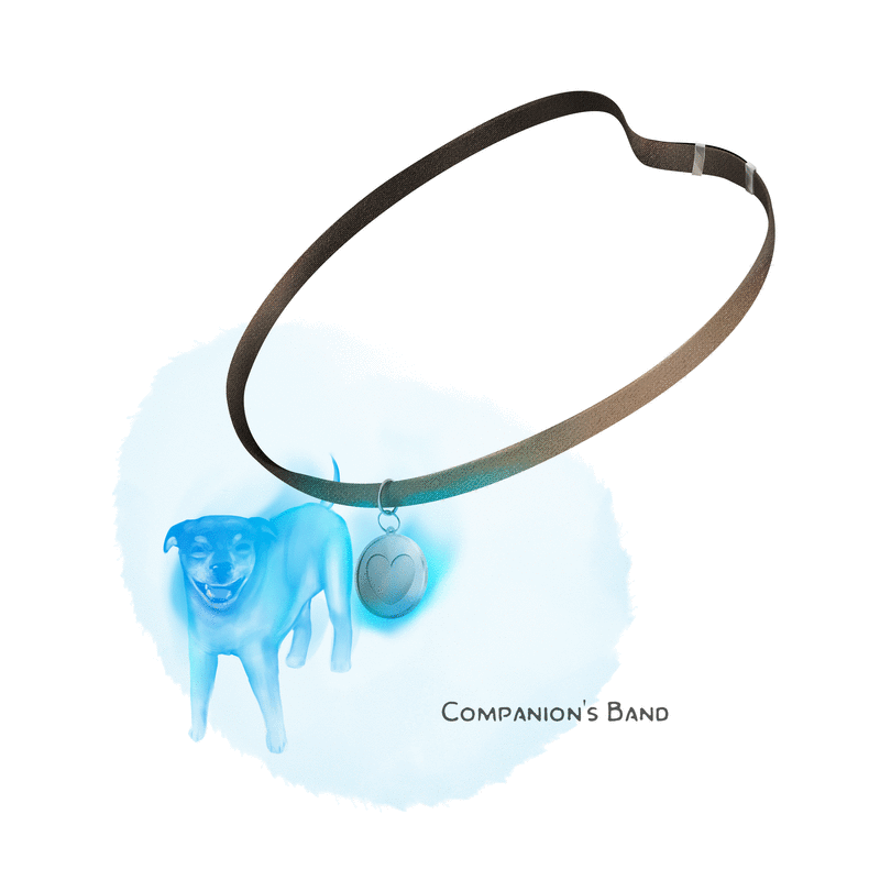 Illustration of Companion's Band